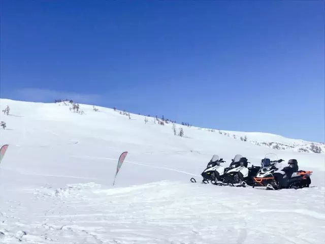 中国游客滑雪窒息身亡粉雪有多险 安全意识亟待提升