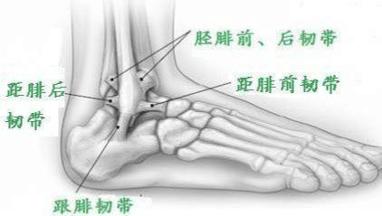 陈赫录节目又崴脚了 习惯性崴脚如何缓解